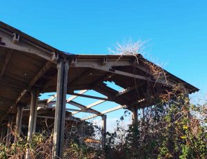 Montalto di Castro - Il complesso in stato di abbandono nei rpessi dell'area dove sorgerà la nuova Pump Truck