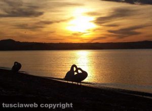 Lago di Bolsena