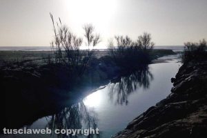 Tarquinia - Il mare