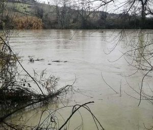 Orte - Il Tevere in piena