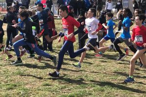 Sport - Atletica leggera - I campionati regionali di corsa campestre