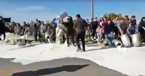 La protesta del latte dei pastori