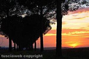 Tramonto a Tuscania