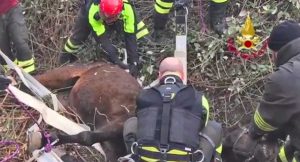 Parma - L'intervento dei vigili del fuoco