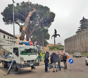 Viterbo - Piazzale Gramsci - L'abbattimento di due pini