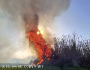 Canino - Canneto in fiamme