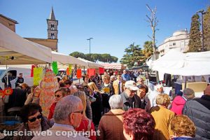 Viterbo - Una passata edizione della fiera dell'Annunziata