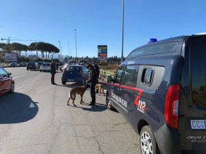 Viterbo - I controlli dei carabinieri con le unità cinofile