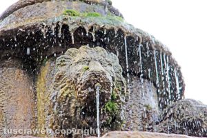 Viterbo - La fontana di piazza del Gesù