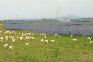 Un impianto fotovoltaico