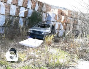 Orte - Area adiacente la discarica abusiva ex Fornace