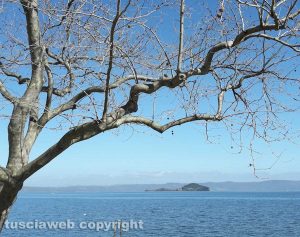 Il lago di Bolsena