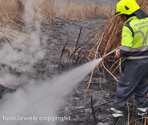 Montefiascone - Il canneto in fiamme - L'intervento dell'Asvom