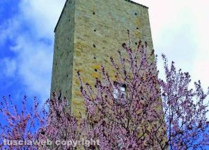 Viterbo - Primavera a piazza del Gesù