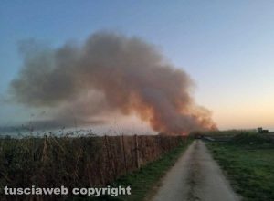 Canino - Canneto in fiamme