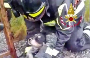 Palermo - L'intervento dei vigili del fuoco
