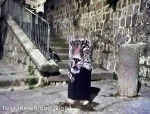 Il leopardo in piazza San Pellegrino