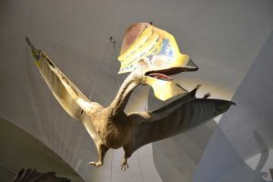 Tupandactylus