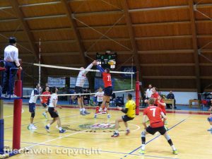 Sport - Volley - Volley Club Orte - Scarabeo Civita Castellana
