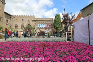 Viterbo - San Pellegrino in Fiore 2019