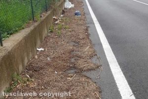 Viterbo - Il "marciapiede" su strada Ponte Sodo