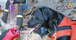 L'Aquila - Tommy, Il cane eroe