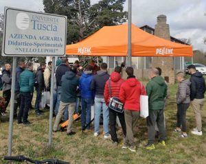 Viterbo - Unitus - Corsi pratici di potatura della vite
