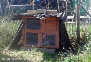 Belcolle - La colonia felina