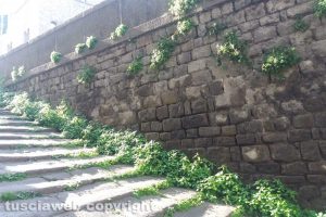 Viterbo - Incuria in pieno centro