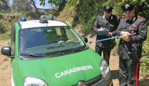 Caserta - I carabinieri forestali in azione