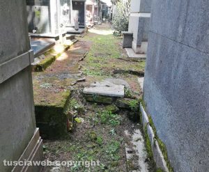 Viterbo - Il cimitero nel degrado