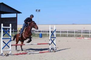 L'Acacia ranch di Grotte Santo Stefano