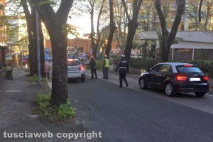 Viterbo - Via della Grotticella - La potatura degli alberi