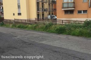 Viterbo - Erbacce in via Domenico Corvi