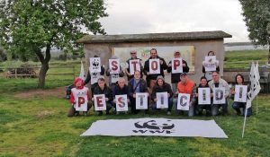 Wwf - Stop pesticidi