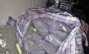 La marijuana sequestrata a bordo del tir