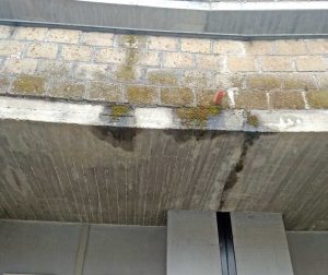 Civita Castellana - Le infiltrazioni al cimitero