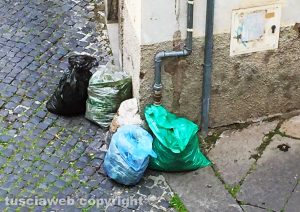 Viterbo - Sacchi pieni di erbacce