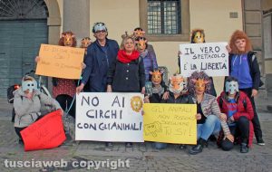 Viterbo - Il flashmob per dire no ai circhi con gli animali