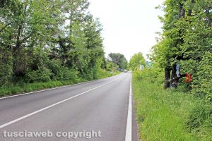 Cimina - Immagine di repertorio