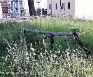 Viterbo - Erbacce e degrado a pratogiardino Lucio Battisti