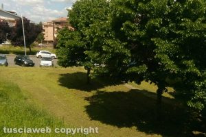 Viterbo - Il giardino in via Giacomo Puccini