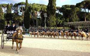 Il carosello del San Raffaele
