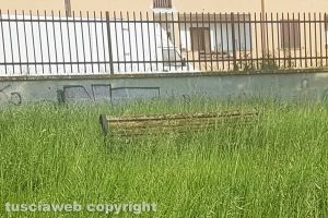 Viterbo - Una panchina tra le erbacce