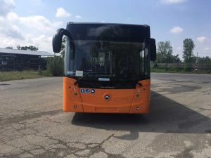 Bus Francigena
