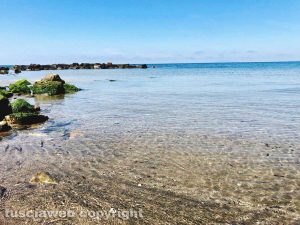 Il mare di Tarquinia