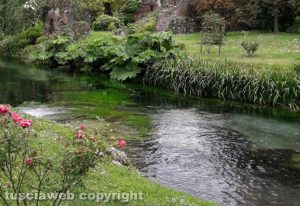 I giardini di Ninfa