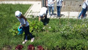 Viterbo - Un momento dell'evento Ortolando