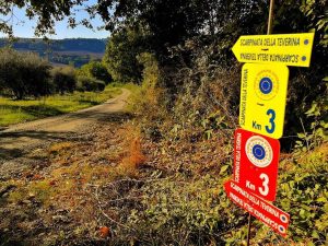 La Scarpinata della Teverina