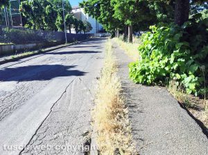 Viterbo - Degrado in via Caduti IX Stormo